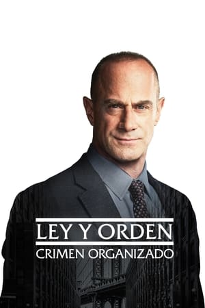 Ver Ley Y Orden: Crimen Organizado Online Gratis En HD | SeriesGratis